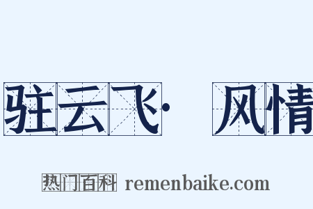 驻云飞·风情是什么意思的图片